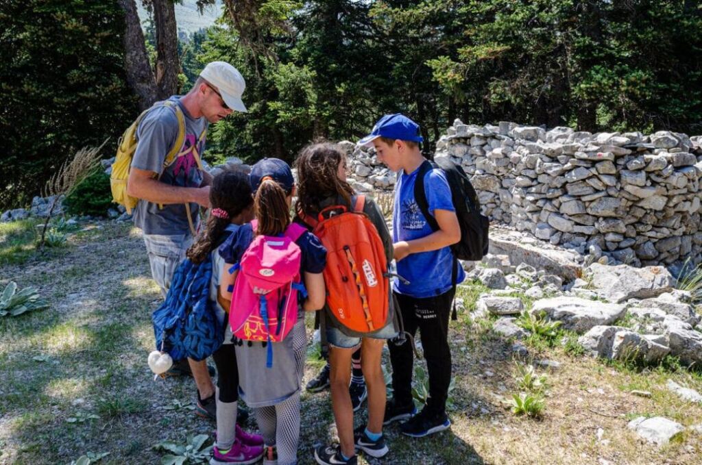 Selection of the Best Summer Camps 2024: Activities and Adventures for Kids 2 Summer camp Switzerland, International summer camp 1