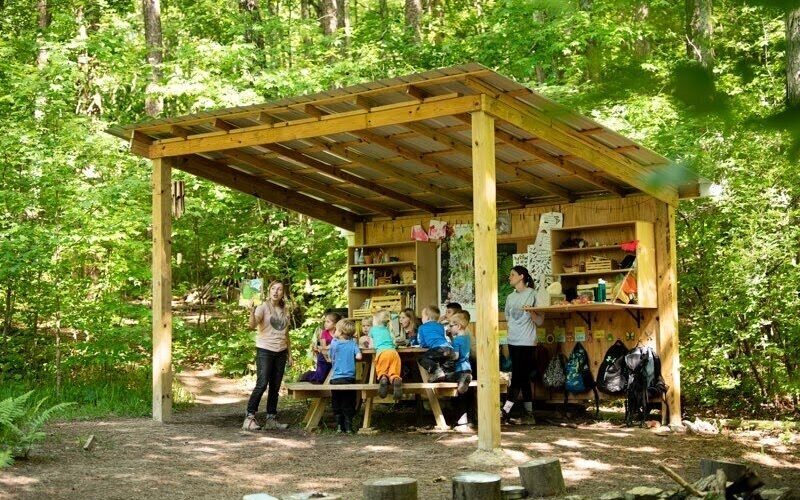 Forrest camp for kids