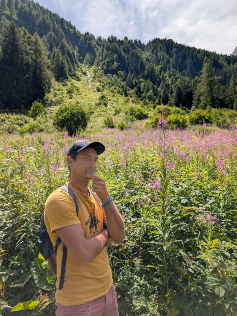 Monitrice debout dans un pré d'épilobes roses dans les Alpes suisses