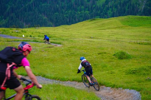 Mountain bikers riding a singletrack through green alpine pastures