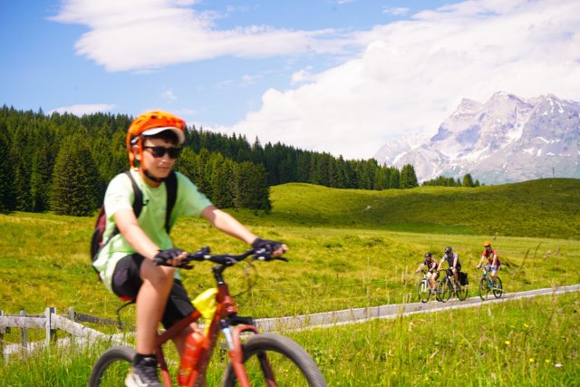 Boy on his mountain bike in a flower meadow below the Diablerets massif