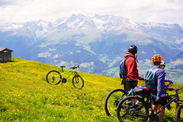 Cyclists pausing in a wildflower meadow to admire the snow-capped Alps