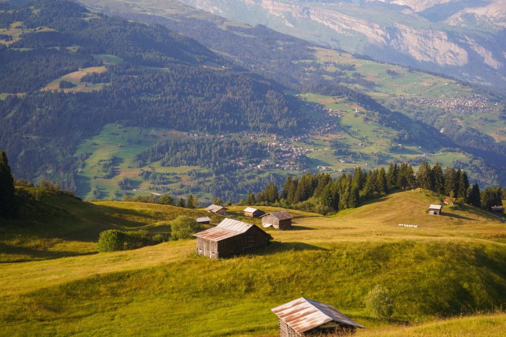 Une journée type dans une colonie de vacances en Suisse