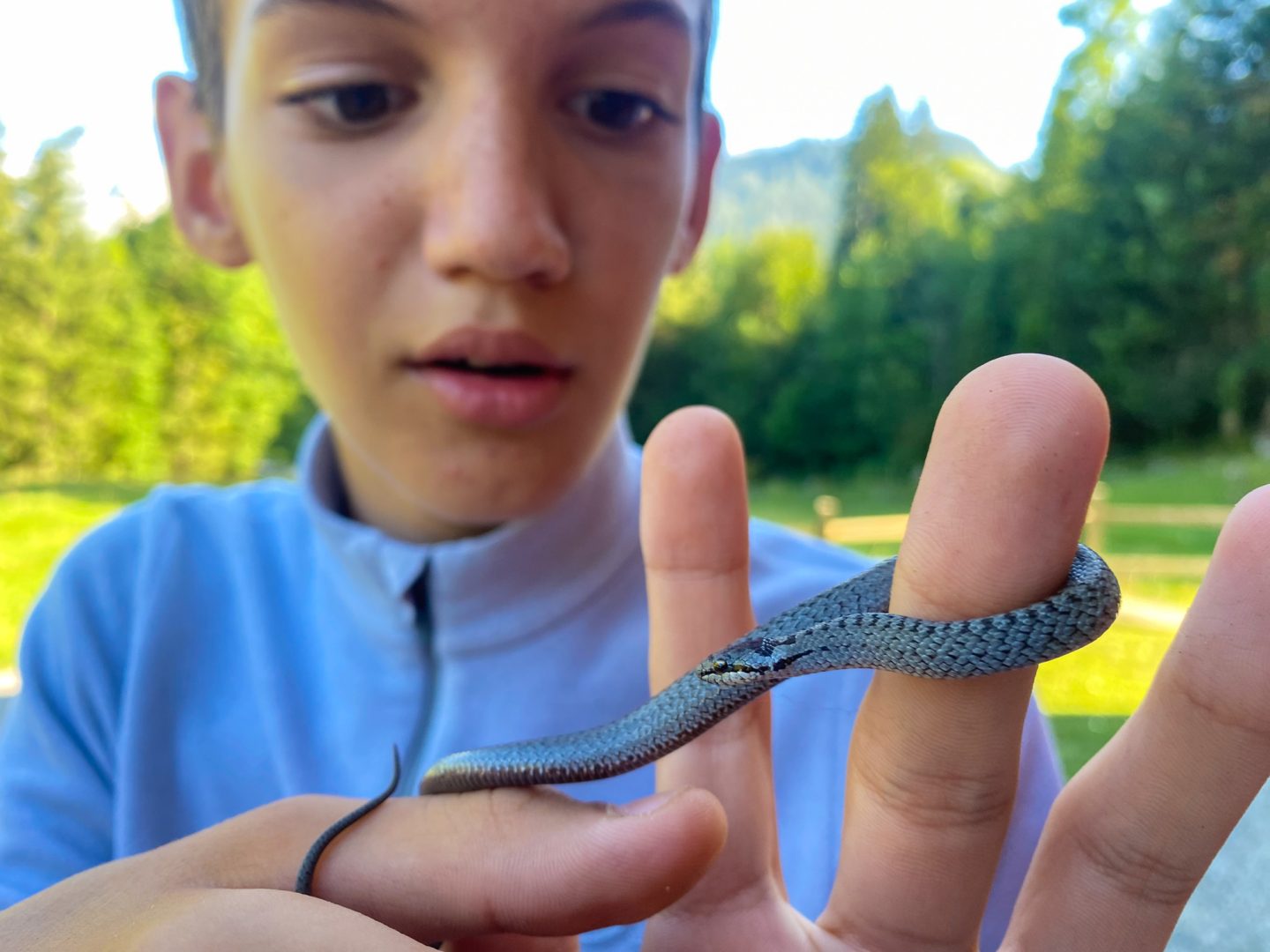 Language courses: Learn French, English or German in an immersive adventure! 24 Summer camp Switzerland, International summer camp 23