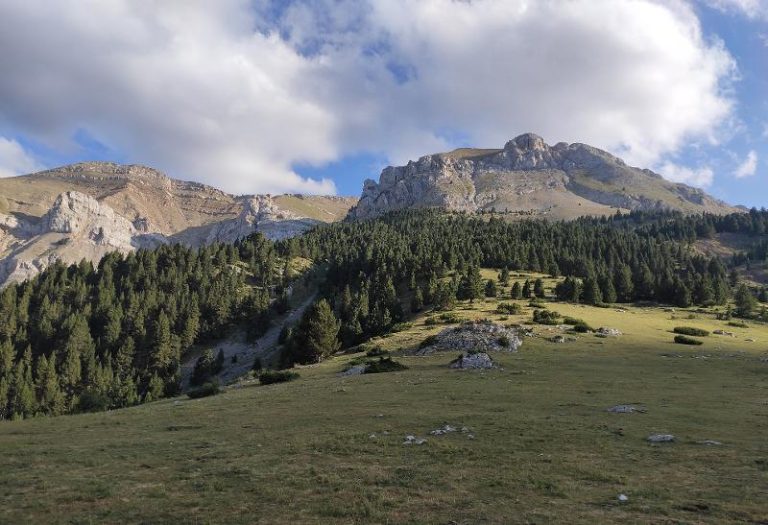 How Much Do Summer Camps In Switzerland Cost? Price Guide 2025