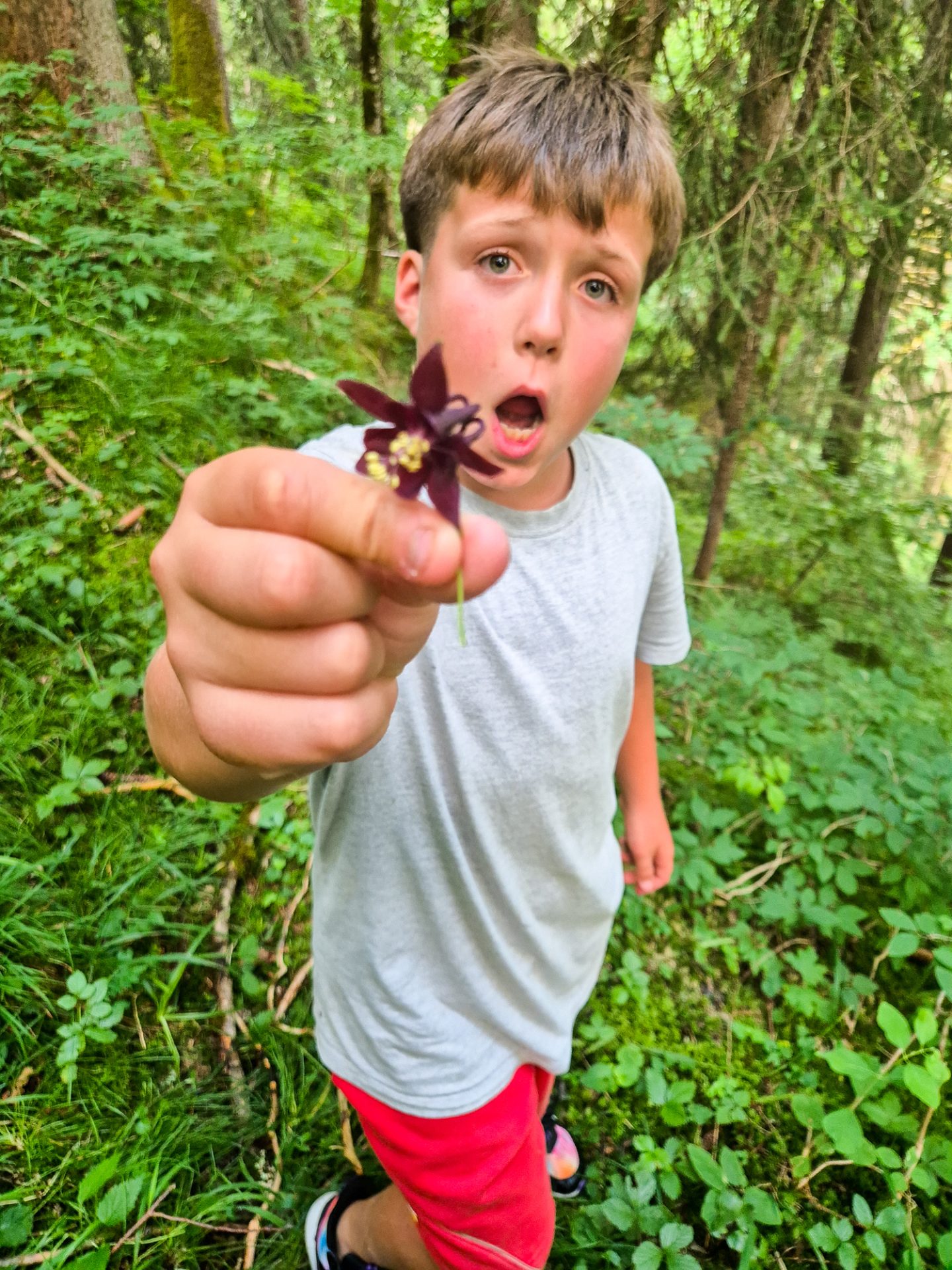 Parks In Bern For Family Outings 8 Summer camp Switzerland, International summer camp 7