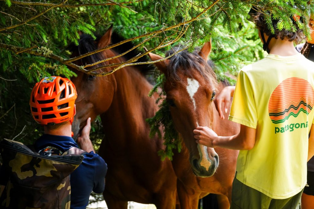 Young Explorers Club summer camp