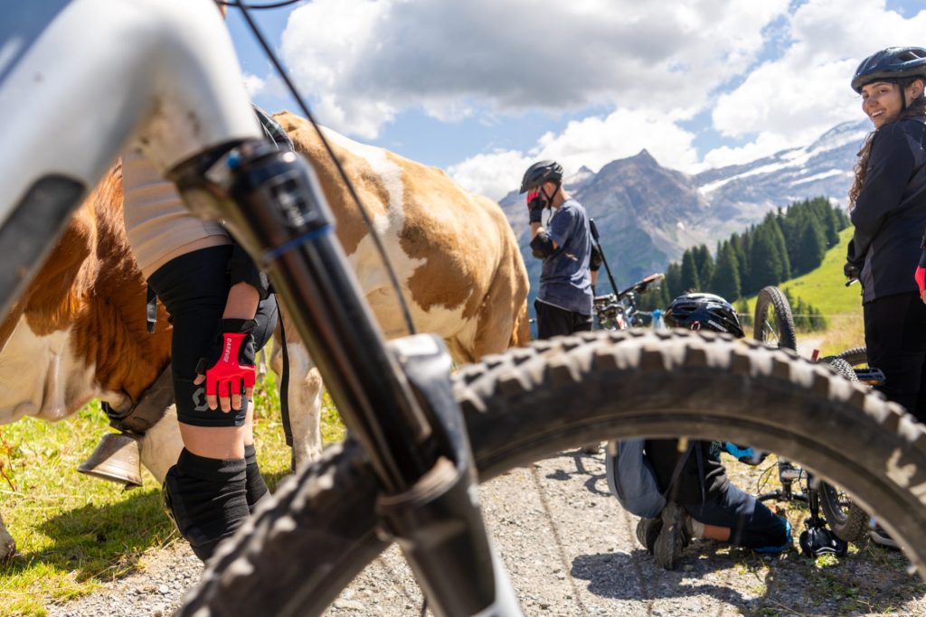 Summer camp Switzerland, International summer camp 18