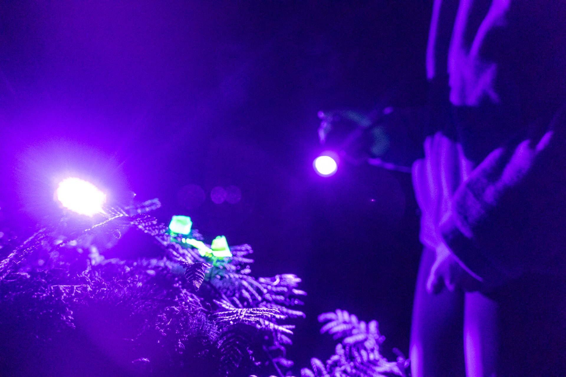 Summer camp Switzerland, International summer camp 3