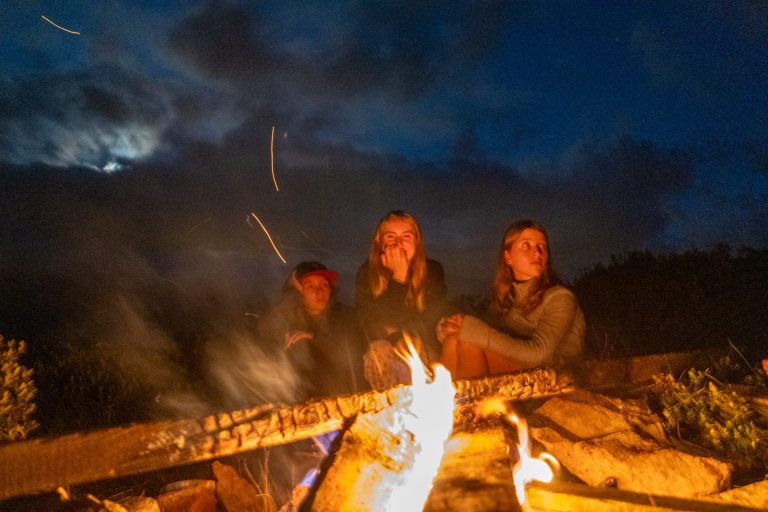 Wildlife Spotting On Swiss Hiking Trails: Guide For Families
