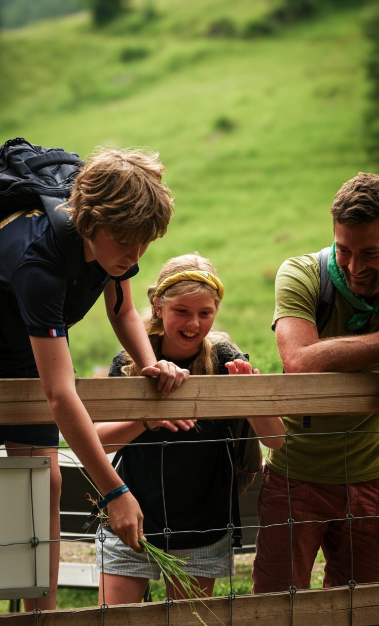 Quelle Place Pour Les Camps Dans L’enfance ?