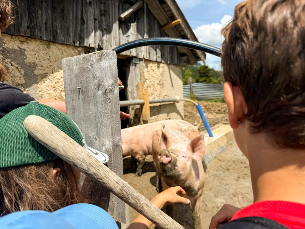 Summer camp Switzerland, International summer camp 28