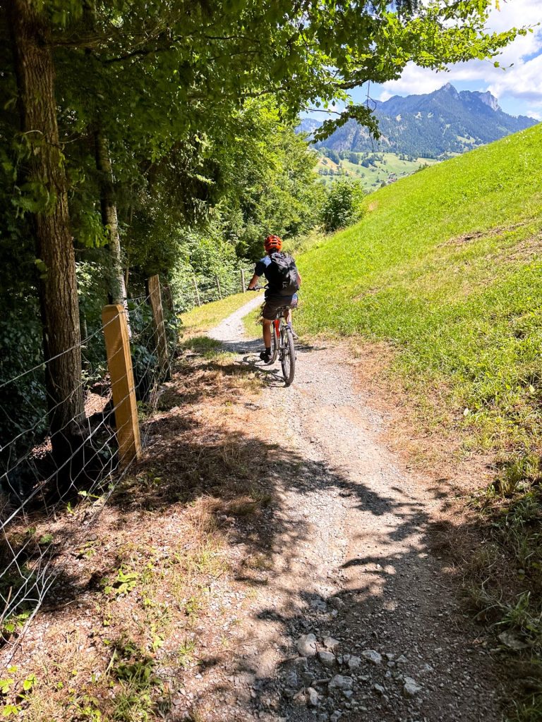 Best Hiking Trails In Switzerland For Kids Under 10