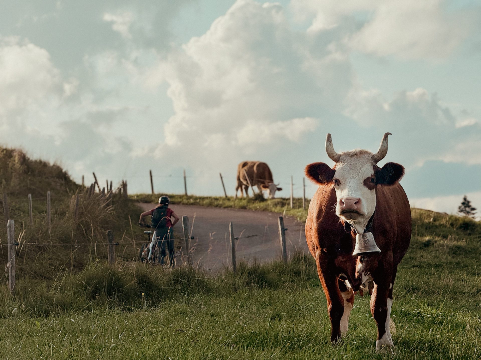 Summer camp Switzerland, International summer camp 9