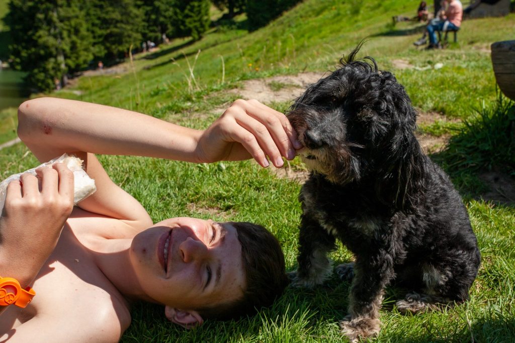 Activités nature pour enfants pendant les vacances scolaires en Suisse