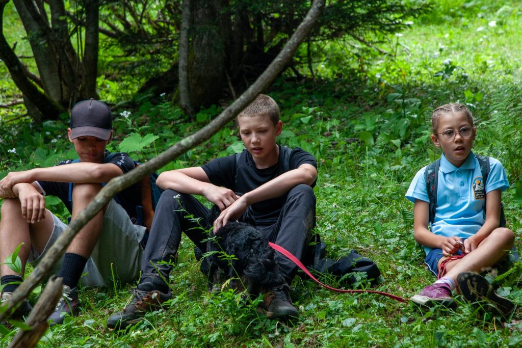 Rutas temáticas por Suiza que a los niños les encantarán
