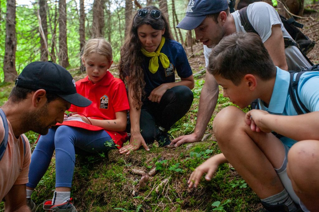 Summer camp Switzerland, International summer camp 25