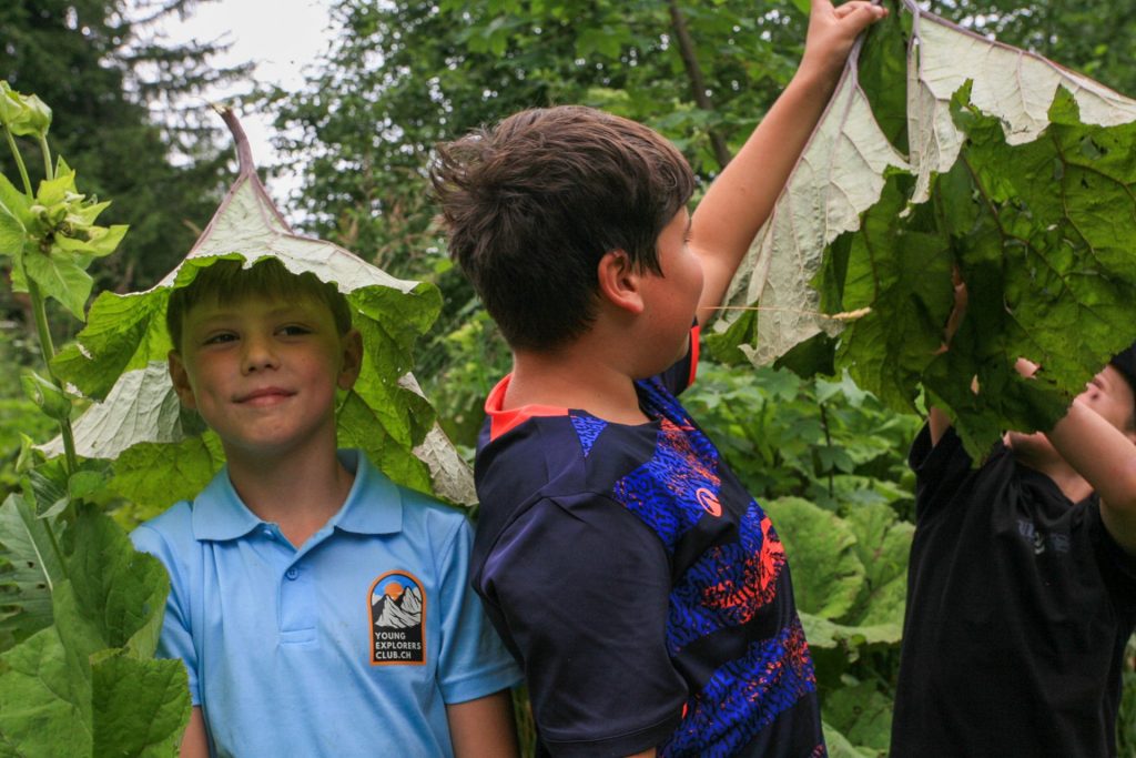 Summer camp Switzerland, International summer camp 27