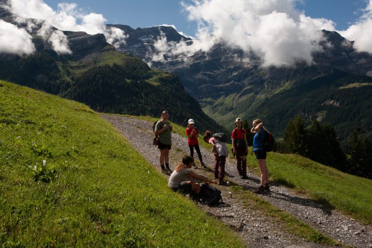 The Best Ways To Display Camp Certificates And Awards