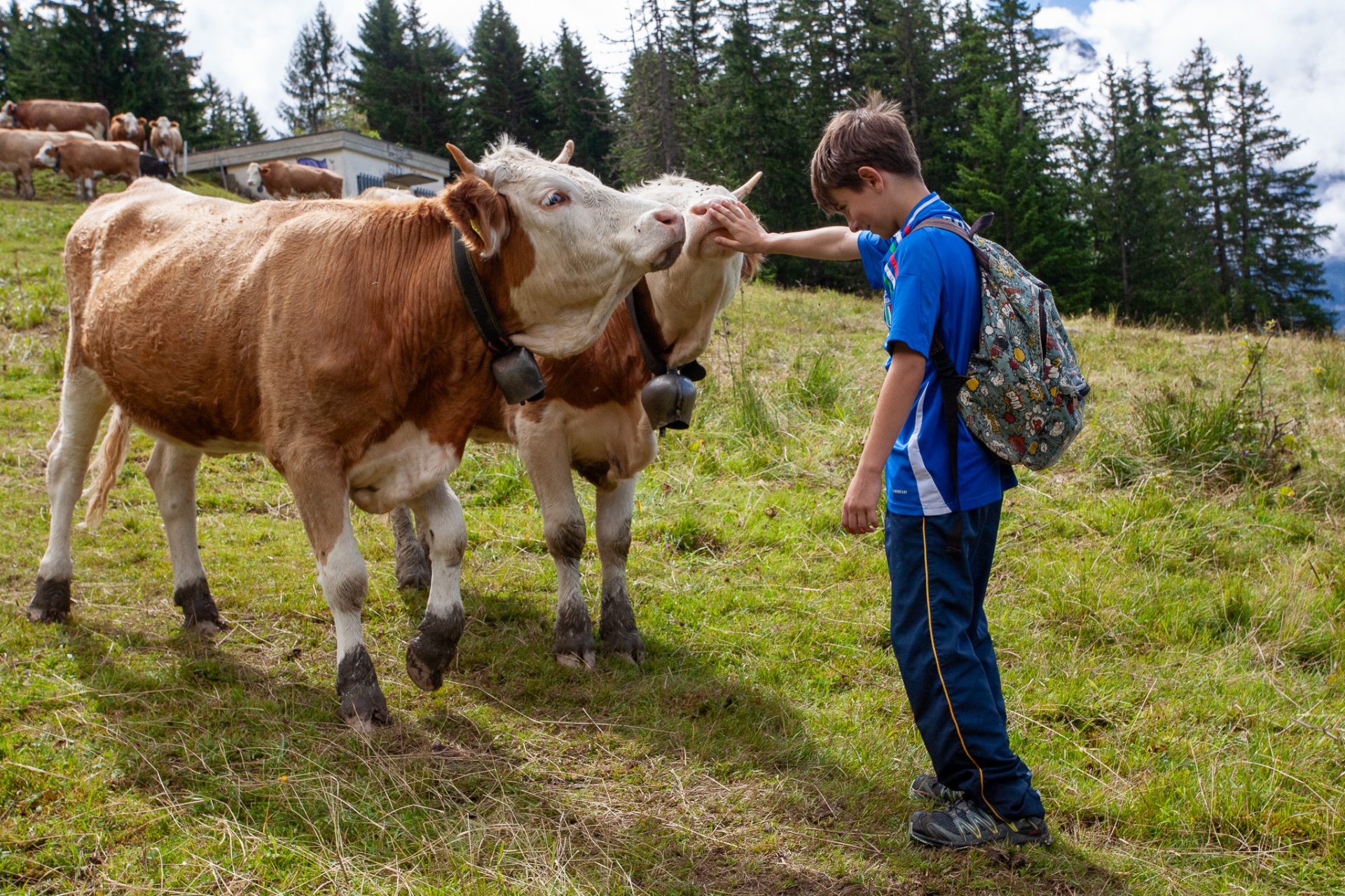 Summer camp Switzerland, International summer camp 11