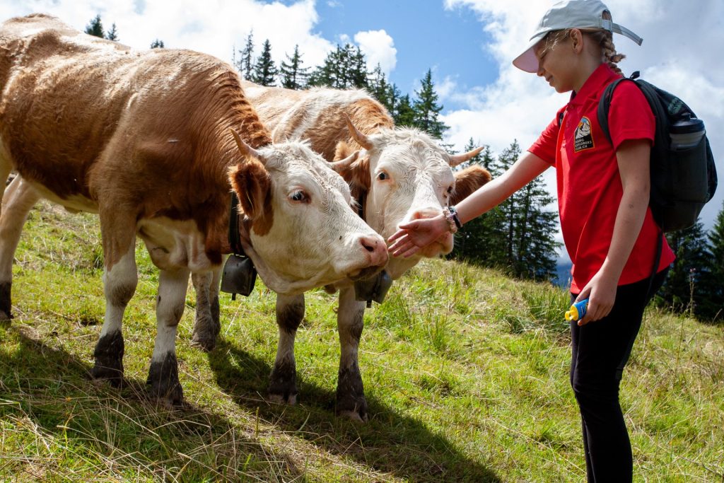 Campamentos de verano económicos en Suiza: opciones asequibles