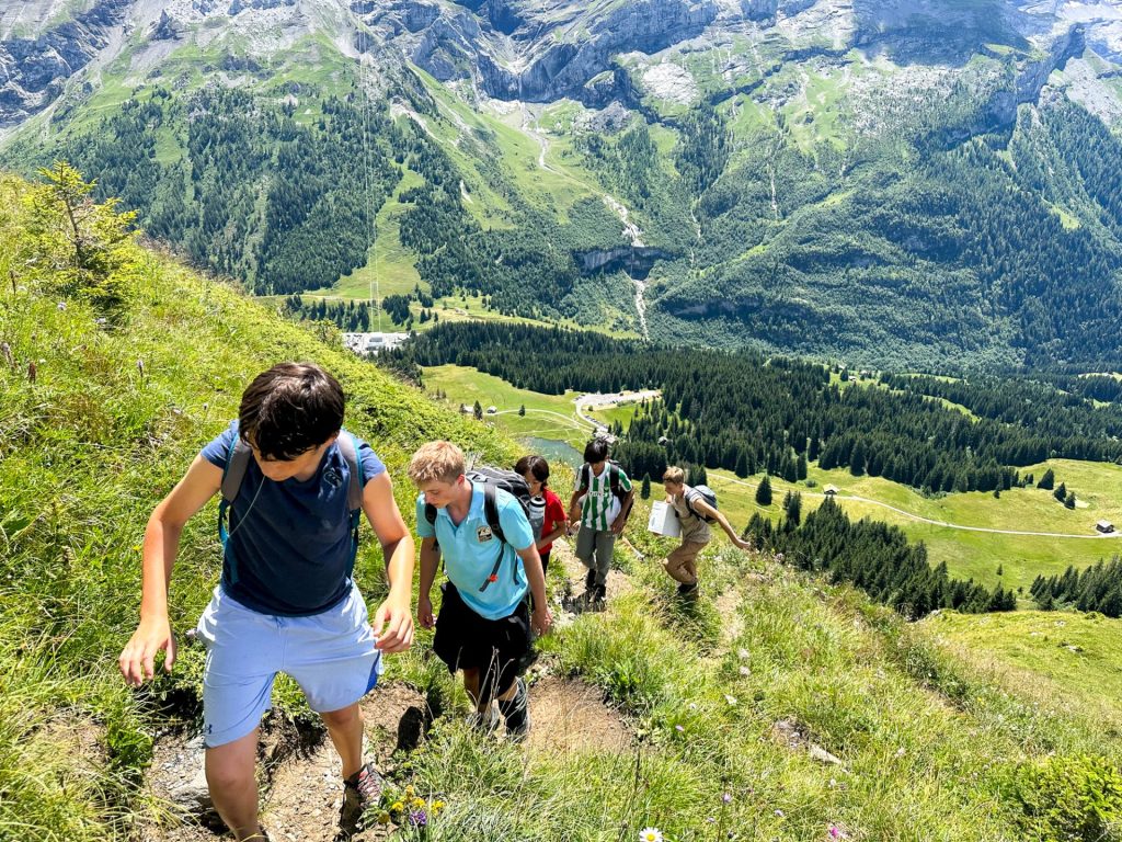 Pony Camps For Young Children