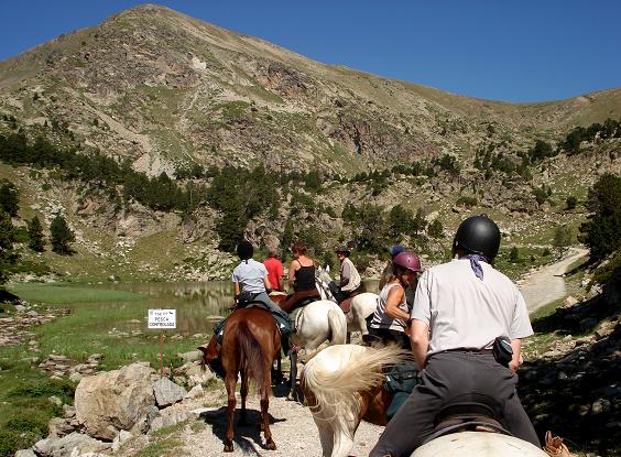 Summer camp Switzerland, International summer camp 2