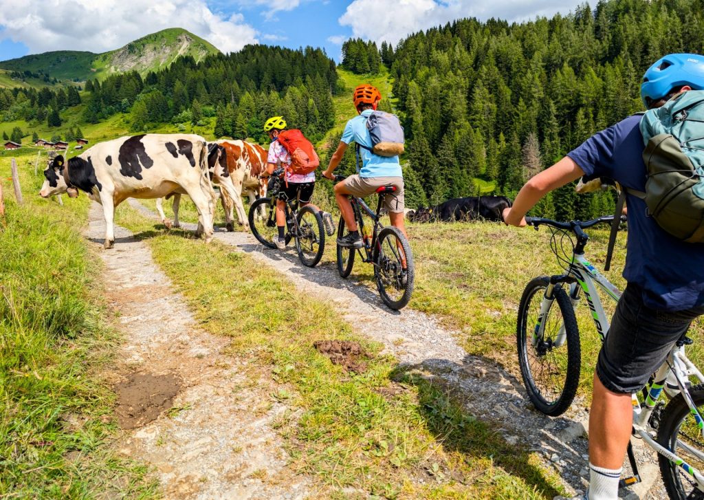 Summer camp Switzerland, International summer camp 26