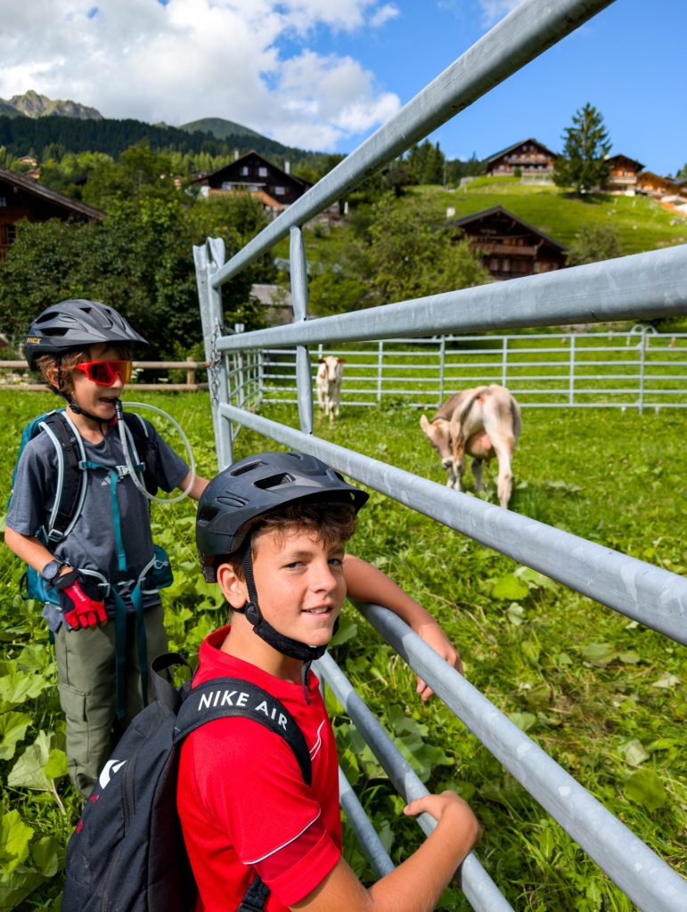Summer camp Switzerland, International summer camp 9